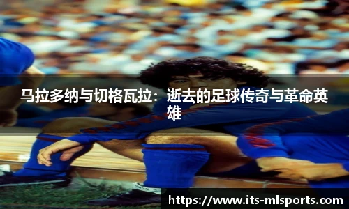 马拉多纳与切格瓦拉：逝去的足球传奇与革命英雄