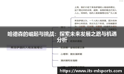 哈德森的崛起与挑战：探索未来发展之路与机遇分析